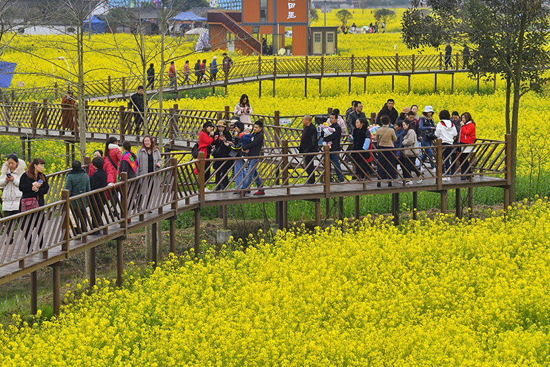 乡村旅游