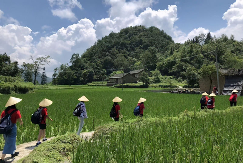 乡村研学